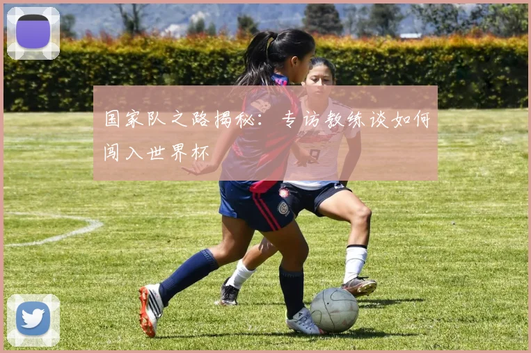 国家队之路揭秘：专访教练谈如何闯入世界杯