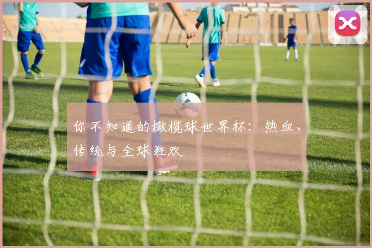 你不知道的橄榄球世界杯：热血、传统与全球狂欢