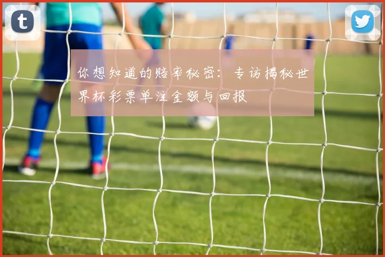 你想知道的赔率秘密：专访揭秘世界杯彩票单注金额与回报