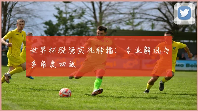 世界杯现场实况转播：专业解说与多角度回放