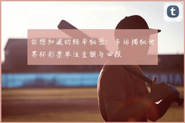 你想知道的赔率秘密：专访揭秘世界杯彩票单注金额与回报