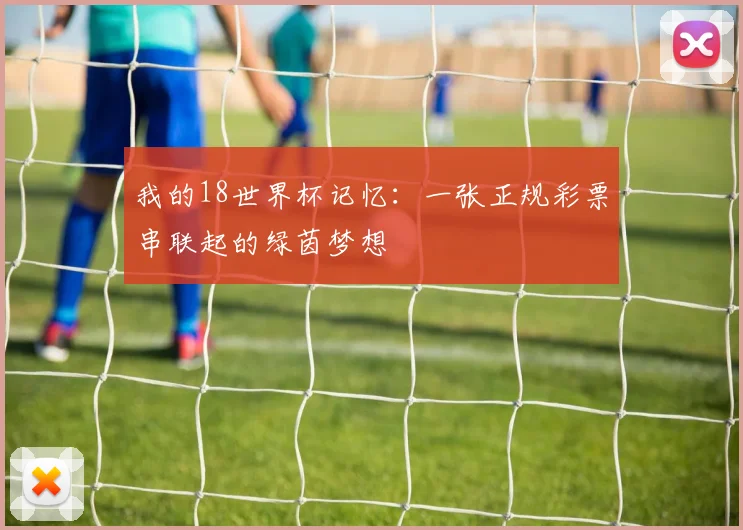 我的18世界杯记忆：一张正规彩票串联起的绿茵梦想
