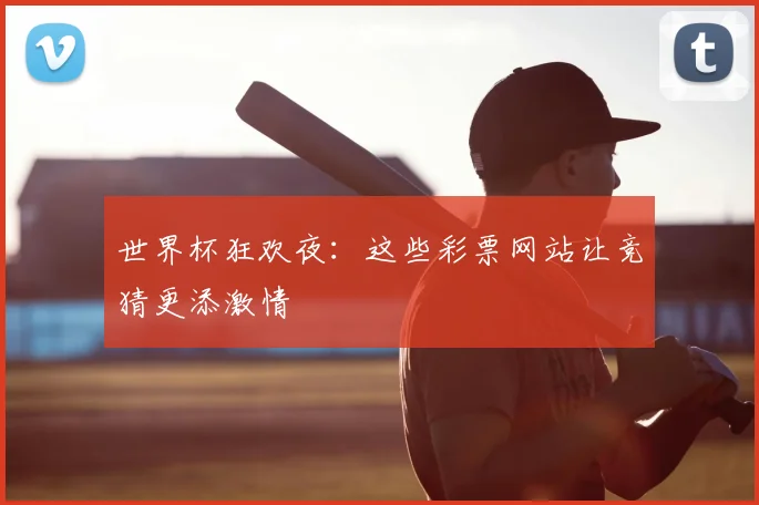 世界杯狂欢夜:这些彩票网站让竞猜更添激情
