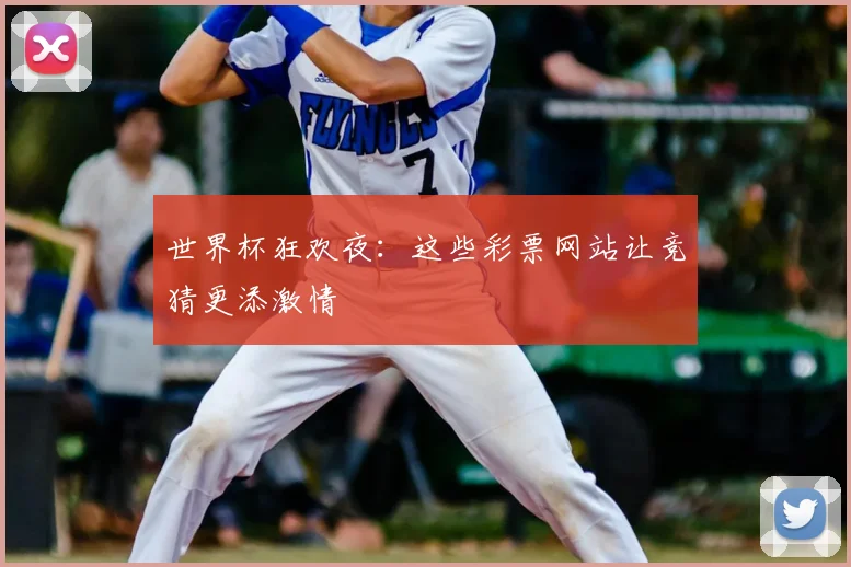 世界杯狂欢夜:这些彩票网站让竞猜更添激情