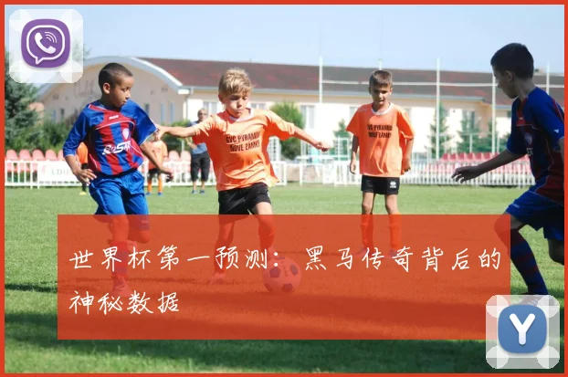 世界杯第一预测：黑马传奇背后的神秘数据