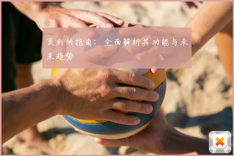莫利纳指南：全面解析其功能与未来趋势