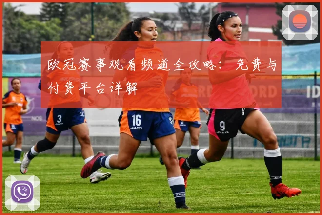 欧冠赛事观看频道全攻略：免费与付费平台详解