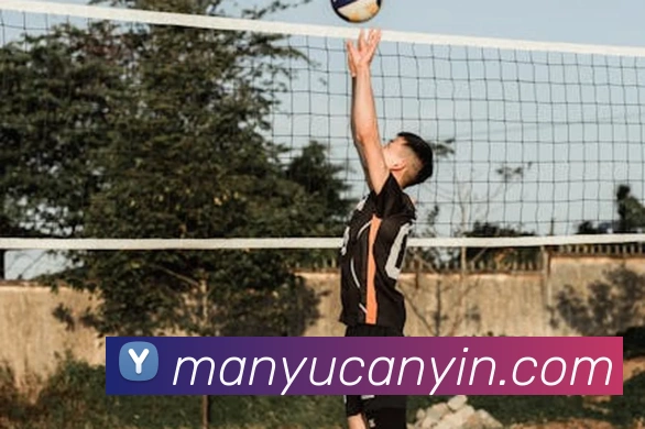 beat365平台唯一官网APP 封面图